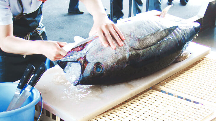 マグロの解体ショー