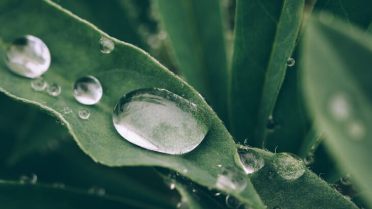 水滴