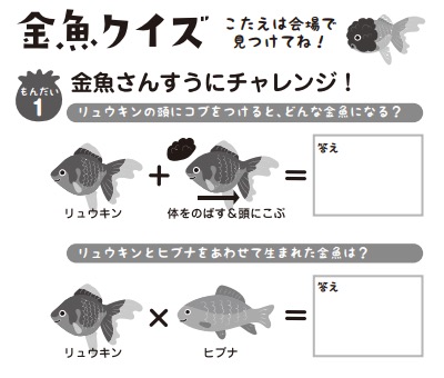 金魚クイズ