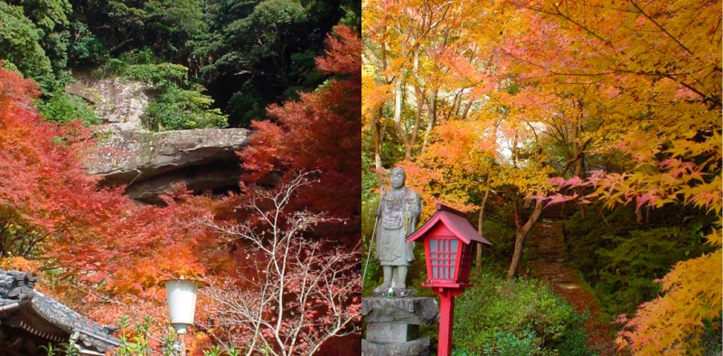 石橋山御橋観音寺 紅葉