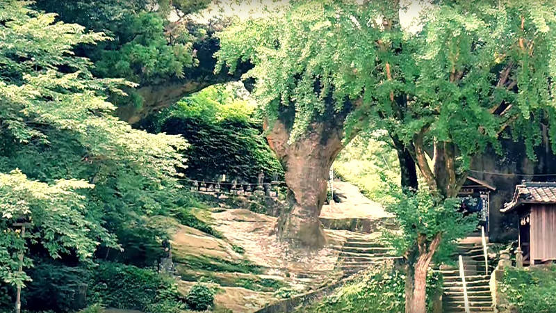 眼鏡岩公園