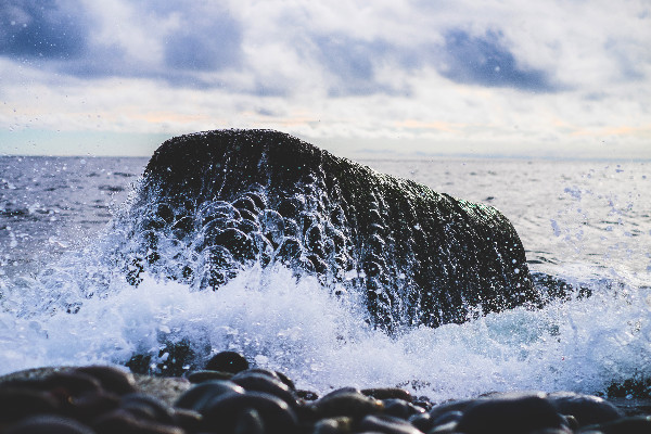splash05