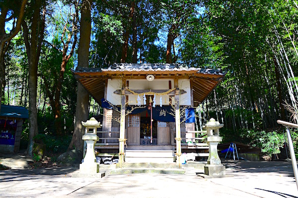 kosasebo4