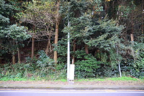meotoiwa4