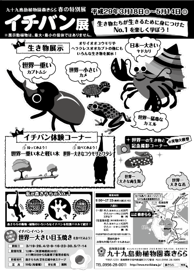 イチバン展のチラシ裏