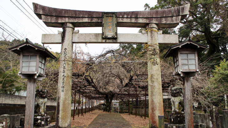 藤山神社