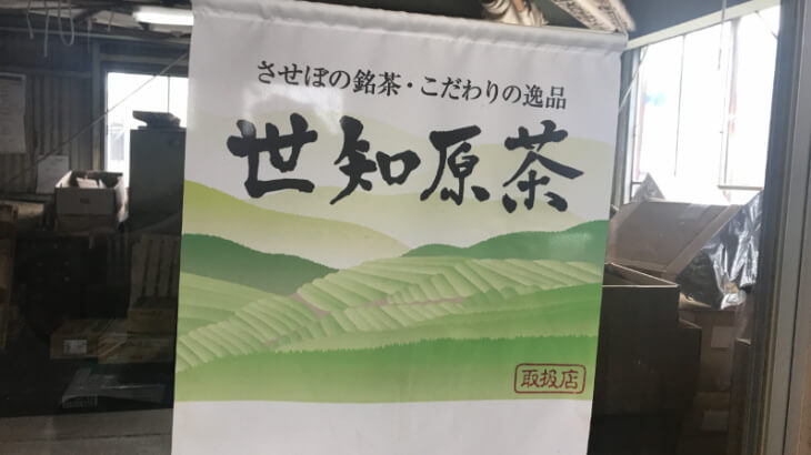 世知原茶04
