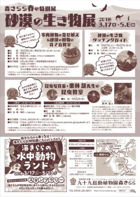 砂漠の生き物展06
