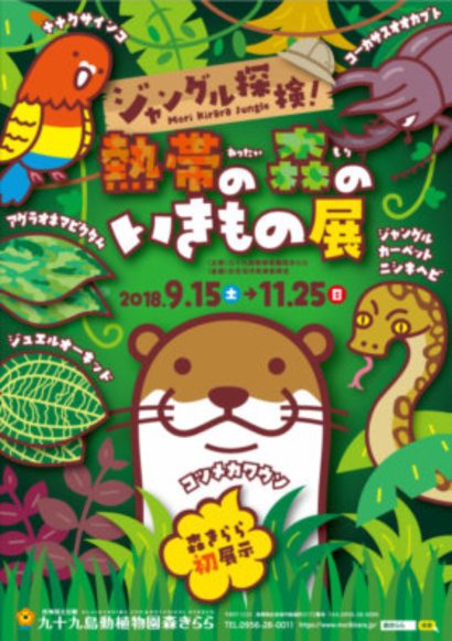 ジャングル探検チラシ