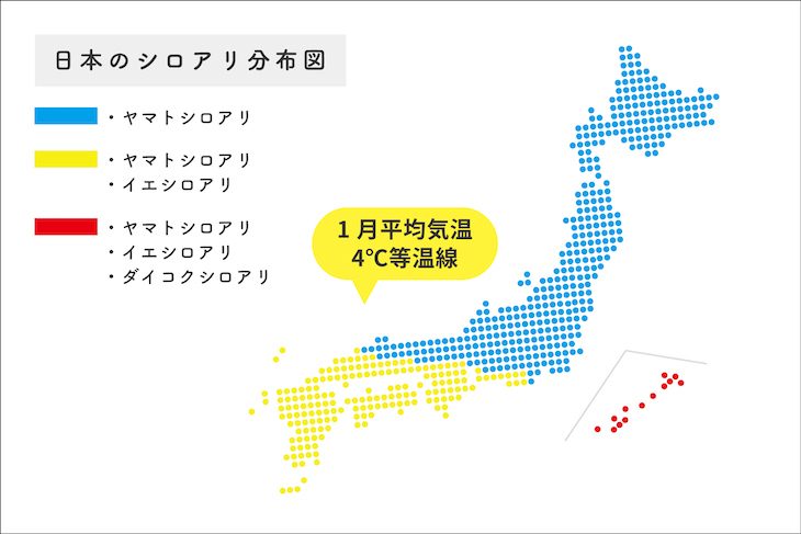 日進興産資料