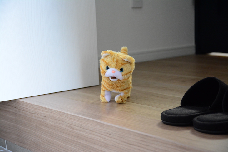 猫のぬいぐるみ