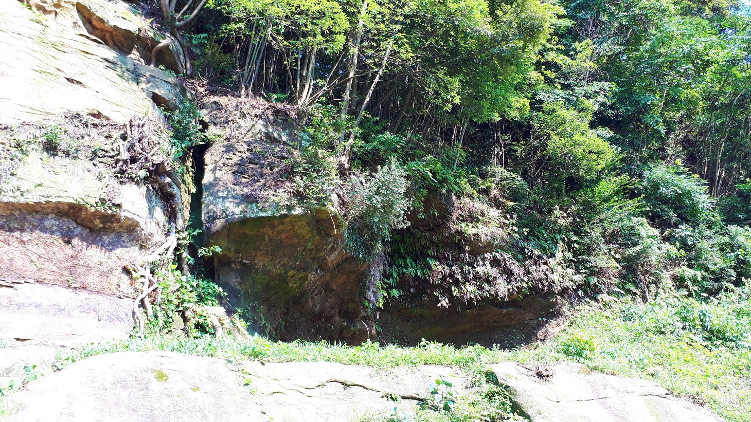 福井洞窟　fukuicave