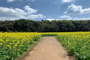 毎年1月10日の 十日恵比寿大祭 ってこんな感じ させぼ通信