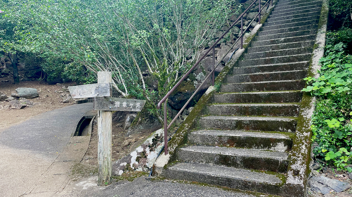 潜竜ヶ滝公園の階段